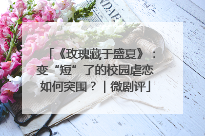 《玫瑰藏于盛夏》：变“短”了的校园虐恋如何突围？｜微剧评
