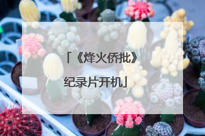 《烽火侨批》纪录片开机