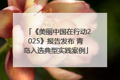 《美丽中国在行动2025》报告发布 青岛入选典型实践案例