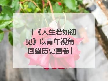 《人生若如初见》以青年视角回望历史画卷