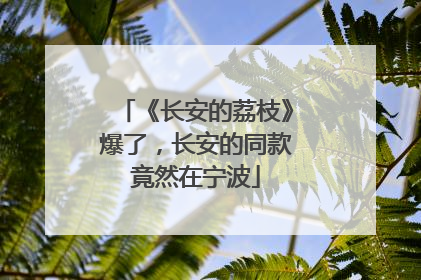 《长安的荔枝》爆了，长安的同款竟然在宁波