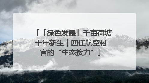 「绿色发展」千亩荷塘 十年新生｜四任航空村官的“生态接力”