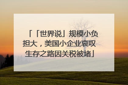 「世界说」规模小负担大，美国小企业哀叹生存之路因关税被堵