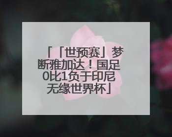 「世预赛」梦断雅加达！国足0比1负于印尼无缘世界杯