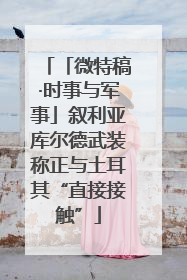 「微特稿·时事与军事」叙利亚库尔德武装称正与土耳其“直接接触”