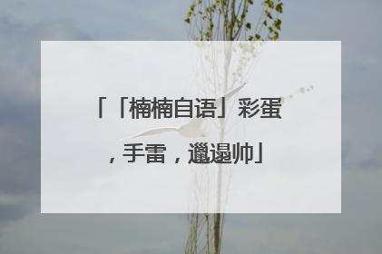 「楠楠自语」彩蛋，手雷，邋遢帅