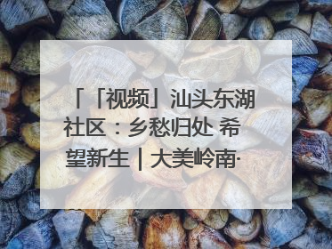 「视频」汕头东湖社区：乡愁归处 希望新生｜大美岭南·百村焕新记