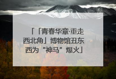 「青春华章·重走西北角」博物馆丑东西为“神马”爆火