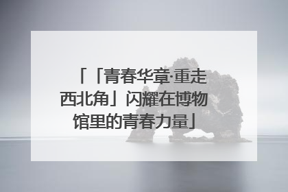 「青春华章·重走西北角」闪耀在博物馆里的青春力量