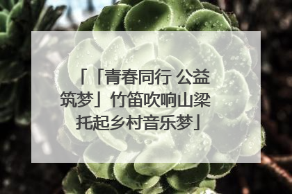 「青春同行 公益筑梦」竹笛吹响山梁 托起乡村音乐梦