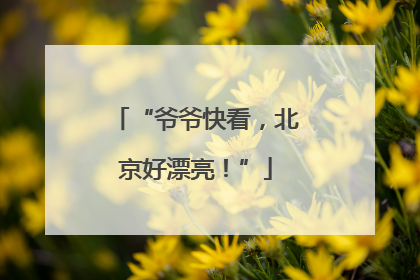 “爷爷快看，北京好漂亮！”