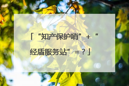 “知产保护哨”+“经盾服务站”=？