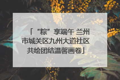 “粽”享端午 兰州市城关区九州大道社区共绘团结温馨画卷
