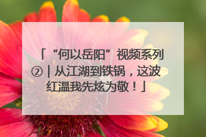 “何以岳阳”视频系列②｜从江湖到铁锅，这波红温我先炫为敬！