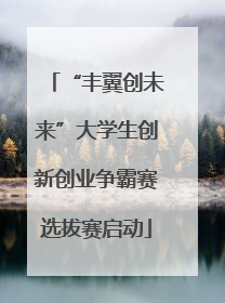 “丰翼创未来”大学生创新创业争霸赛选拔赛启动