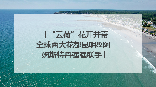 “云荷”花开并蒂 全球两大花都昆明&阿姆斯特丹强强联手