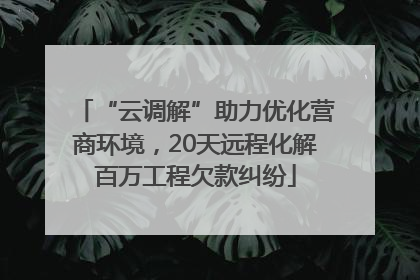 “云调解”助力优化营商环境，20天远程化解百万工程欠款纠纷