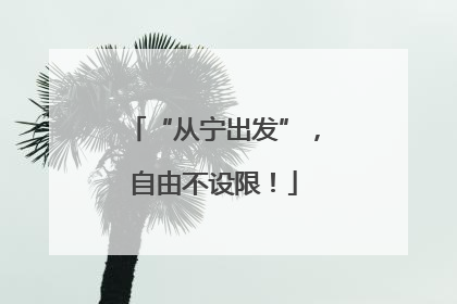 “从宁出发”，自由不设限！