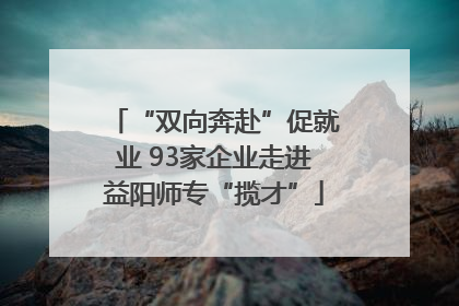 “双向奔赴”促就业 93家企业走进益阳师专“揽才”
