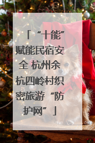 “十能”赋能民宿安全 杭州余杭四岭村织密旅游“防护网”
