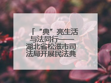 “典”亮生活 与法同行——湖北省松滋市司法局开展民法典宣传系列活动
