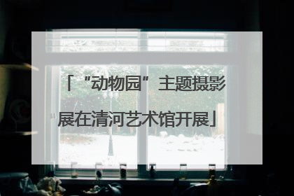 “动物园”主题摄影展在清河艺术馆开展