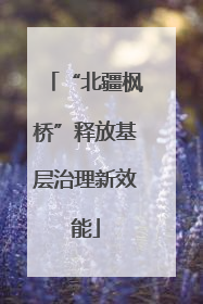 “北疆枫桥”释放基层治理新效能