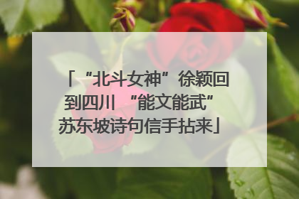 “北斗女神”徐颖回到四川 “能文能武”苏东坡诗句信手拈来