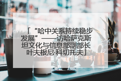 “哈中关系持续稳步发展”——访哈萨克斯坦文化与信息部副部长叶夫根尼·科切托夫