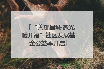 “善耀星城·微光暖开福”社区发展基金公益季开启