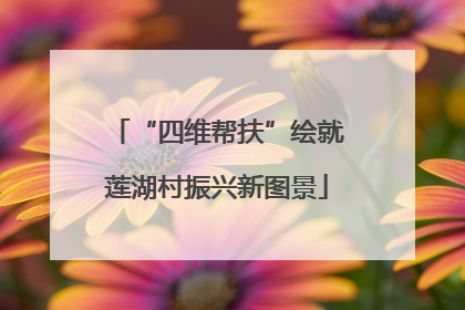 “四维帮扶”绘就莲湖村振兴新图景