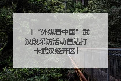 “外媒看中国”武汉段采访活动首站打卡武汉经开区