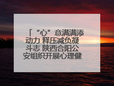 “心”意满满添动力 释压减负凝斗志 陕西合阳公安组织开展心理健康团体辅导活动
