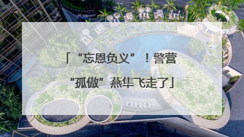 “忘恩负义”！警营“孤傲”燕隼飞走了