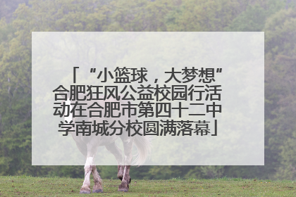 “小篮球，大梦想”合肥狂风公益校园行活动在合肥市第四十二中学南城分校圆满落幕