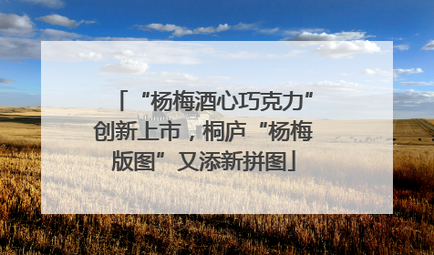 “杨梅酒心巧克力”创新上市，桐庐“杨梅版图”又添新拼图