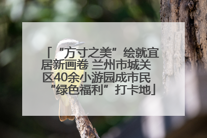 “方寸之美”绘就宜居新画卷 兰州市城关区40余小游园成市民“绿色福利”打卡地