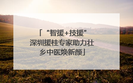 “智援+技援” 深圳援桂专家助力壮乡中医焕新颜