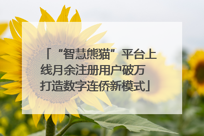 “智慧熊猫”平台上线月余注册用户破万 打造数字连侨新模式