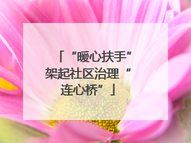 “暖心扶手”架起社区治理“连心桥”