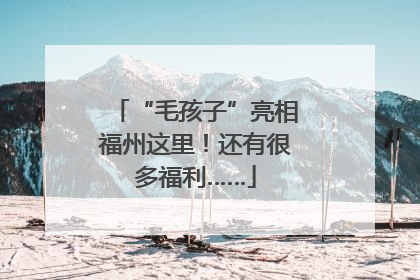 “毛孩子”亮相福州这里！还有很多福利……