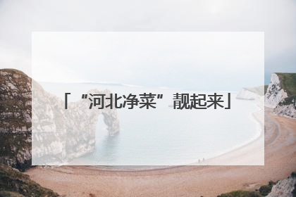 “河北净菜”靓起来