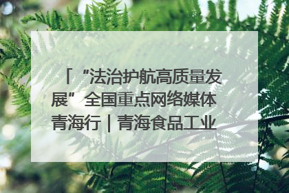 “法治护航高质量发展”全国重点网络媒体青海行｜青海食品工业协会：架起“青字号”美食的产业化桥梁