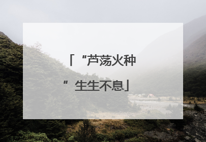 “芦荡火种”生生不息