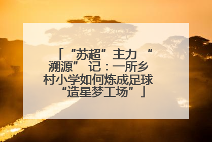 “苏超”主力 “溯源” 记：一所乡村小学如何炼成足球 “造星梦工场”