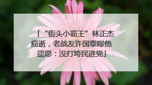 “街头小霸王”林正杰癌逝，老战友许国泰曝他遗愿：没打垮民进党