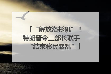 “解放洛杉矶”！特朗普令三部长联手“结束移民暴乱”