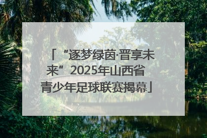 “逐梦绿茵·晋享未来”2025年山西省青少年足球联赛揭幕
