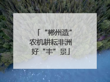“郴州造”农机耕耘非洲好“丰”景