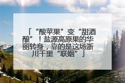 “酸苹果”变“甜酒酿”！盐源高原果的华丽转身，靠的是这场浙川千里“联姻”